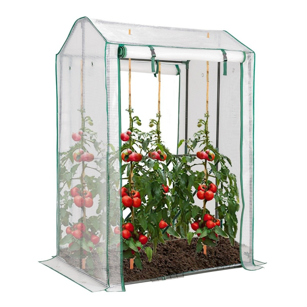 100 x 81 x 150 cm outdoor greenhouse garden greenhouse with 2 roll-up doors