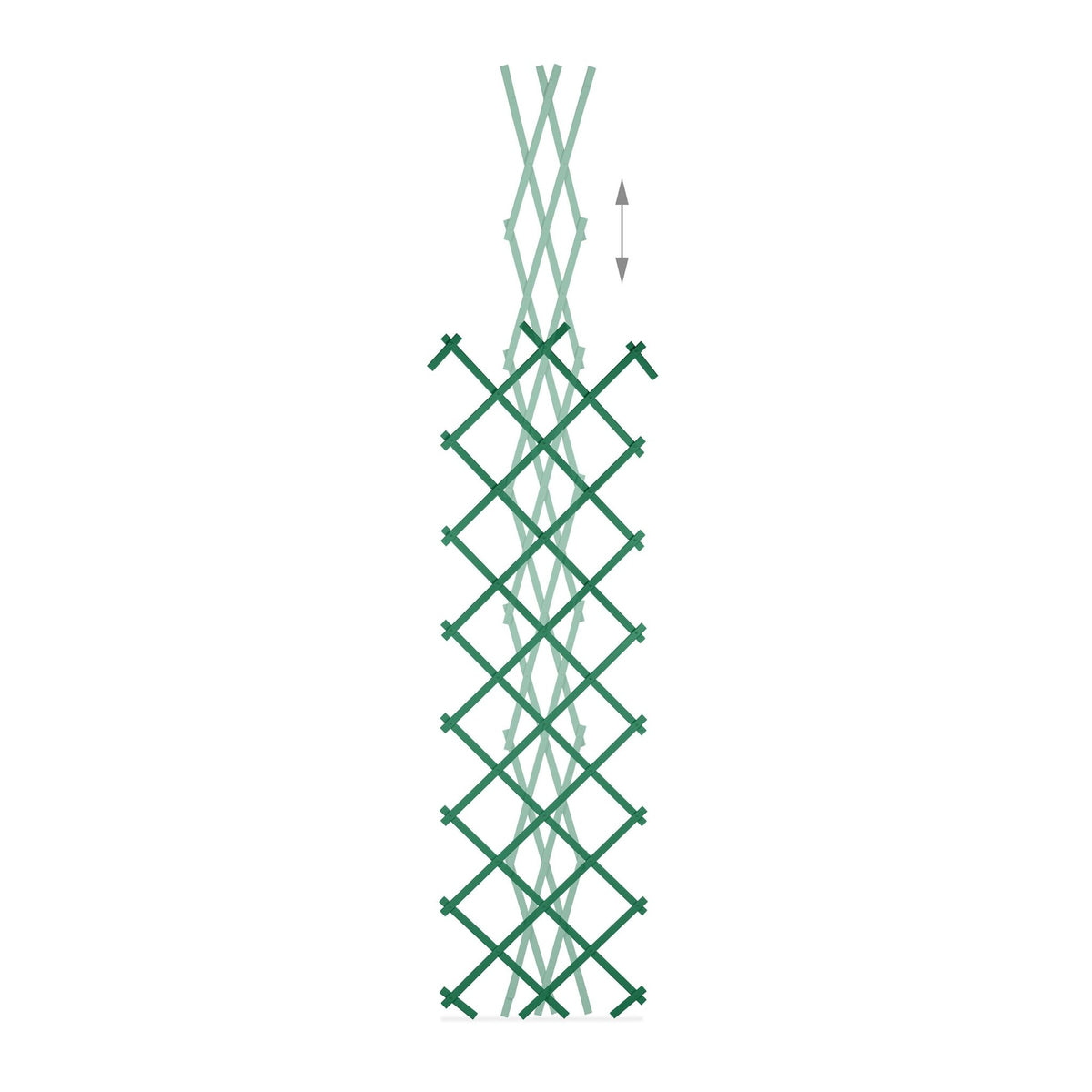 180 cm Extendable Trellis Set of 3