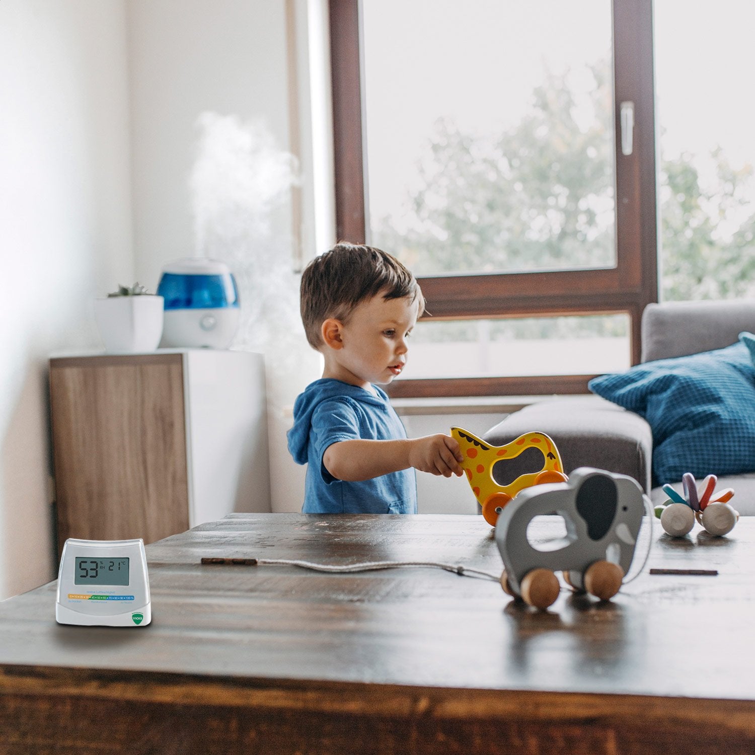 2 in 1 Hygrometer & Thermometer V70