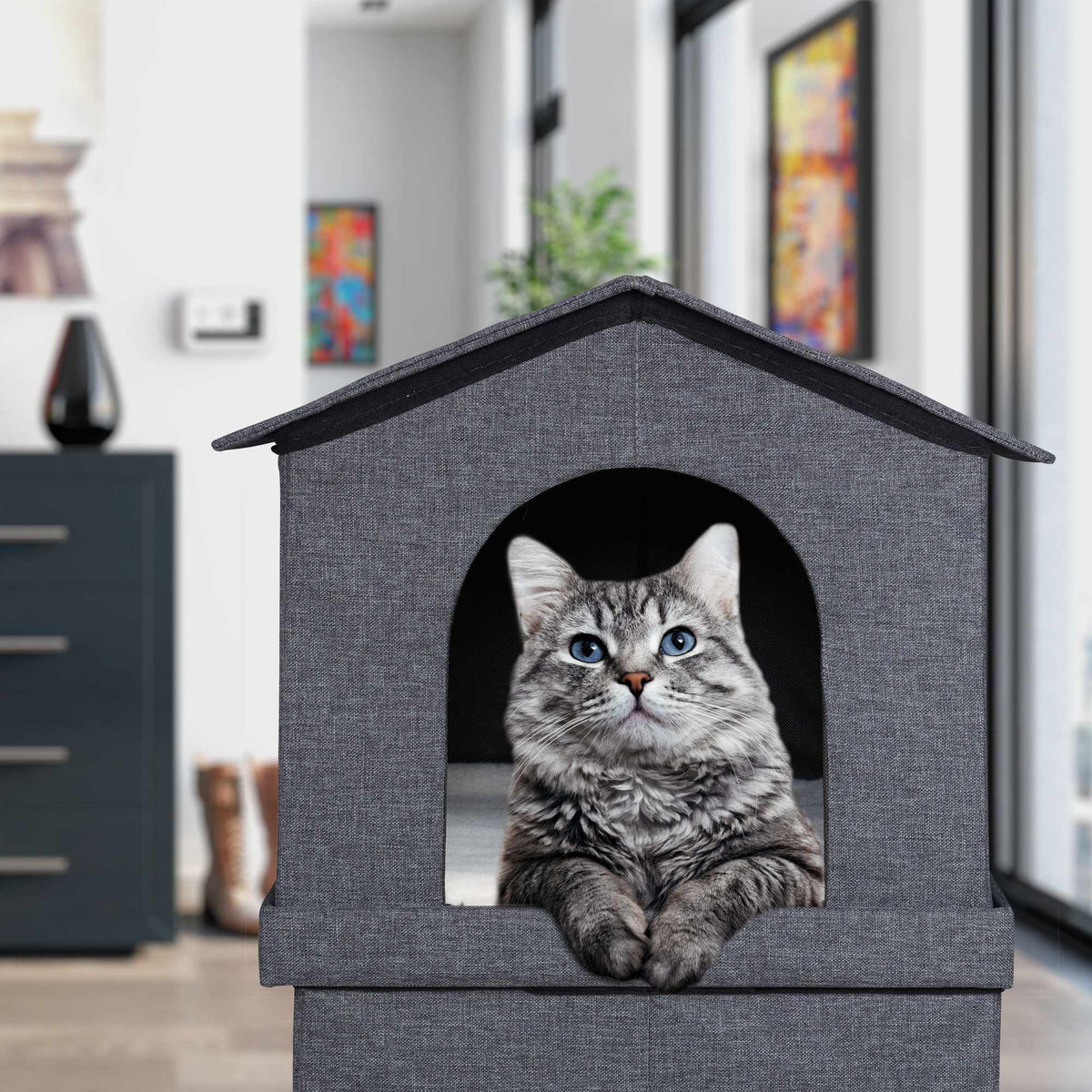 2 storey cat house for indoors