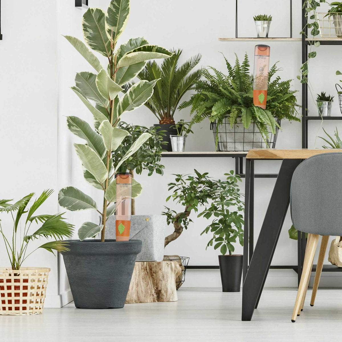 4 pot watering cans