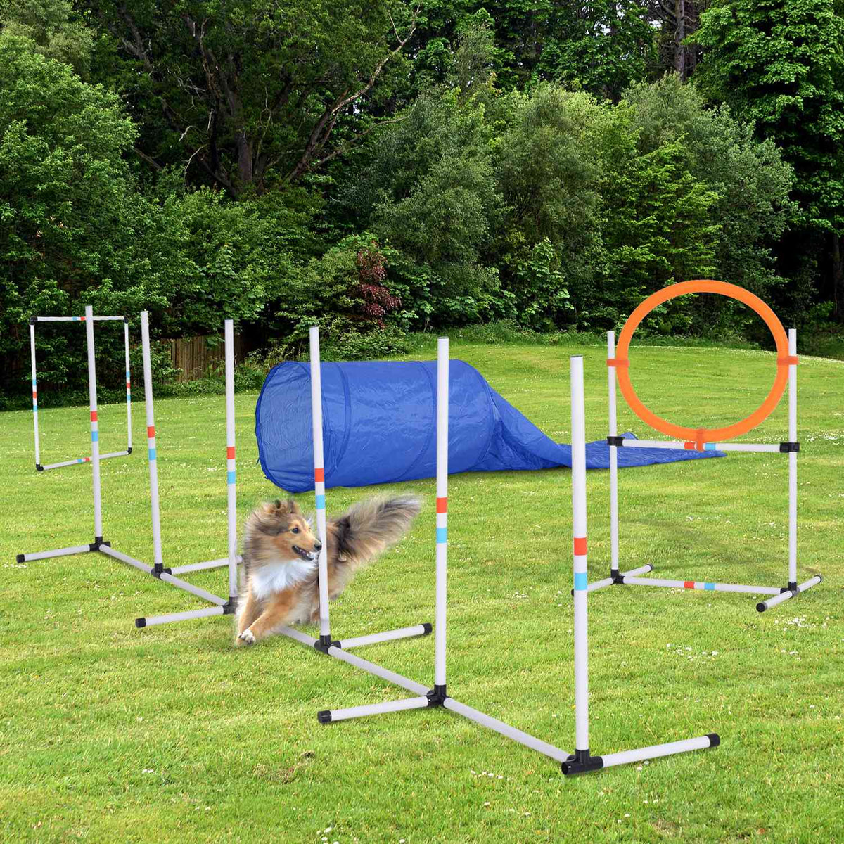 5 Pcs. Dog Agility Set Training For Pets Dog Training Set With Dog Tunnel Includes Bag Easy To Carry Polyester Plastic Orange