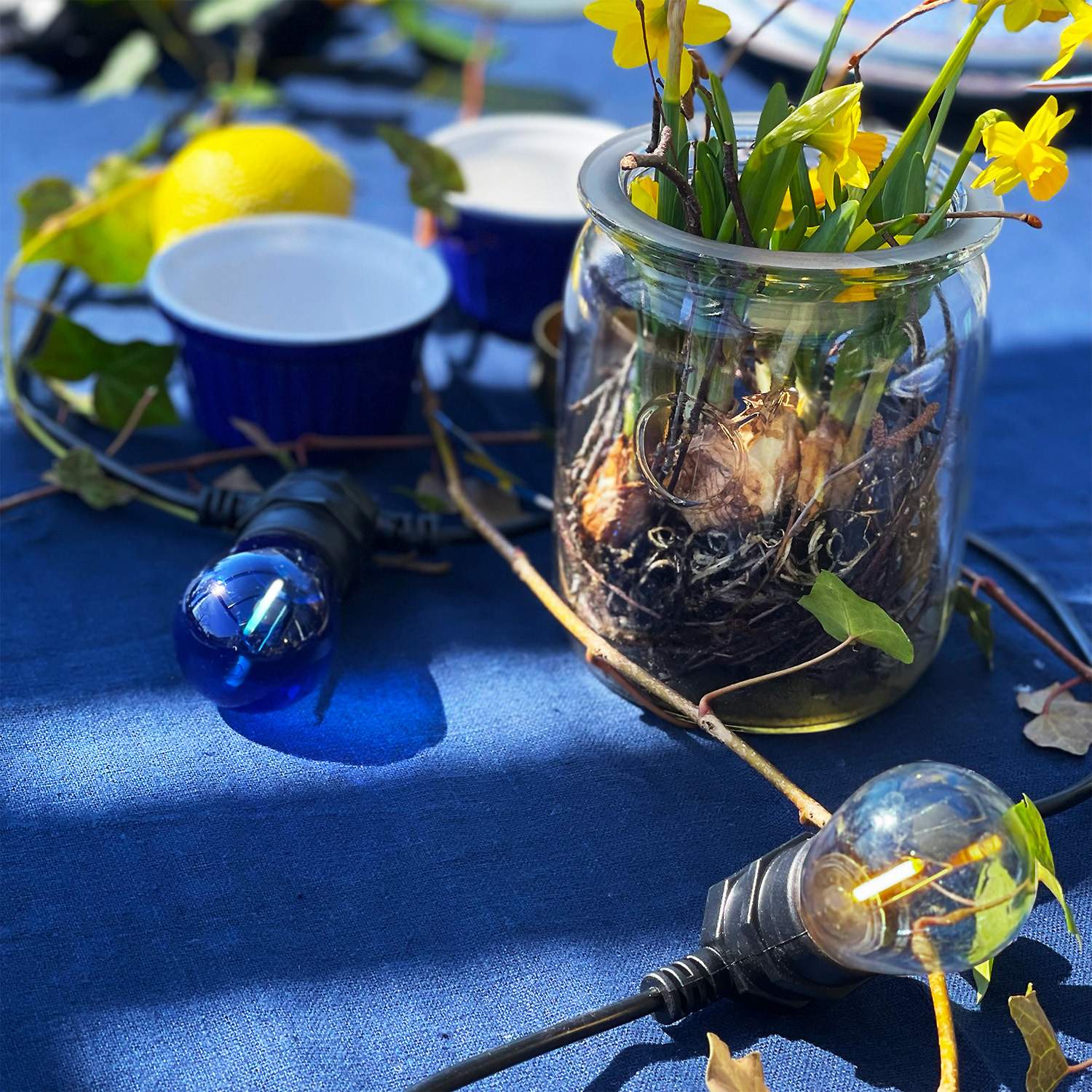 5-pack Deco Bulb LED light source E27 12V Blue 30lm