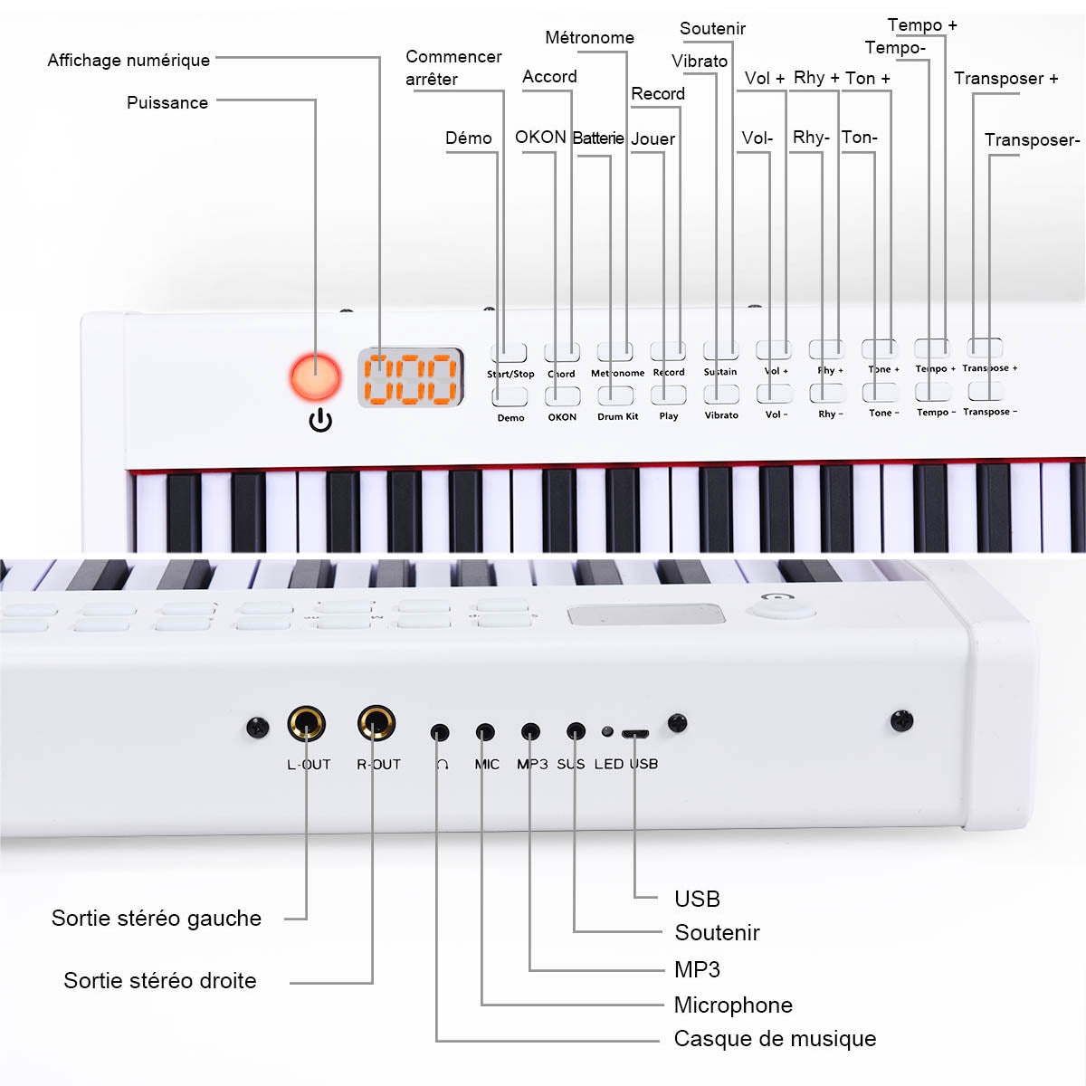 61-Key Digital Keyboard Piano with Case, Weighted Keys