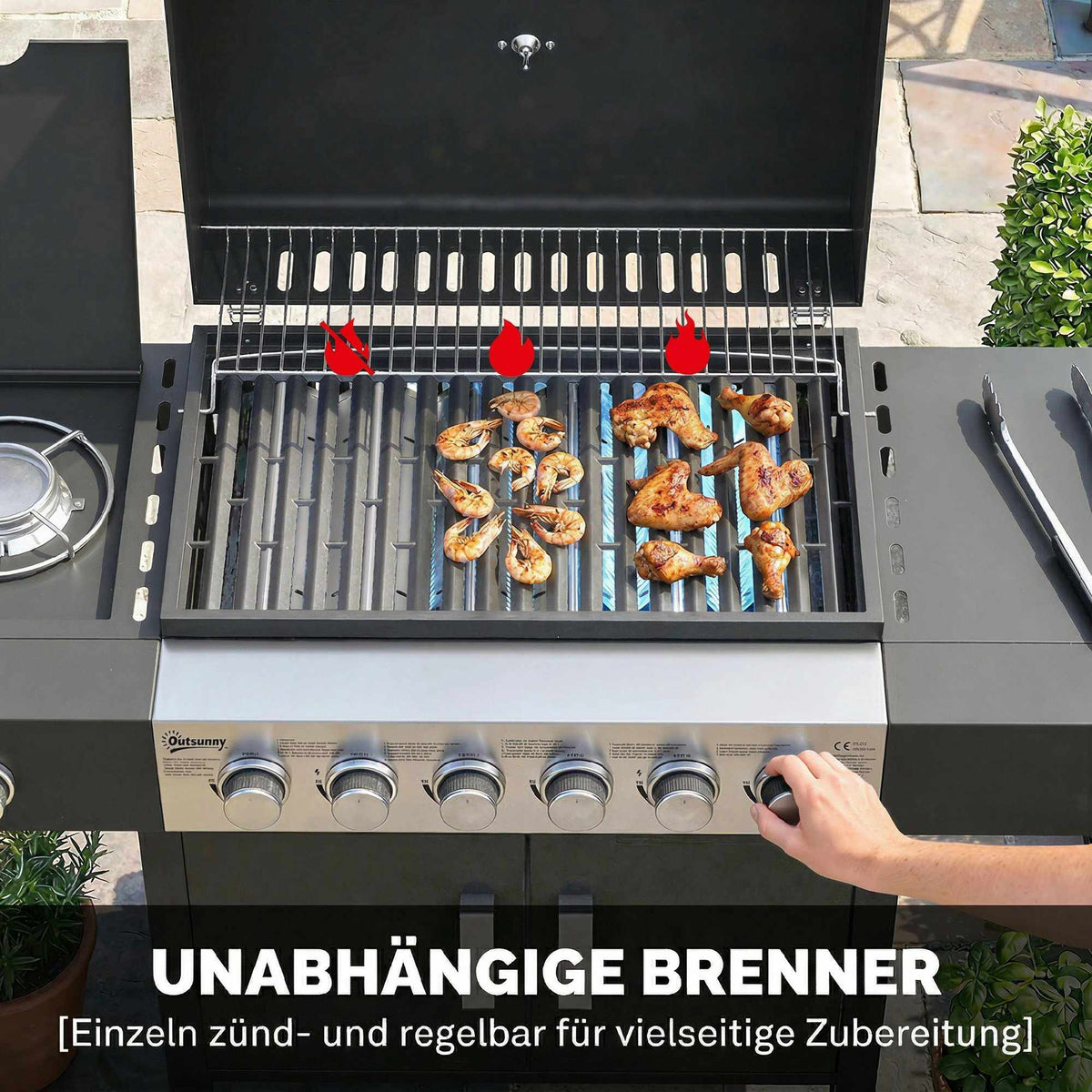 6-Burner Stainless Steel Gas Grill with Side Burner