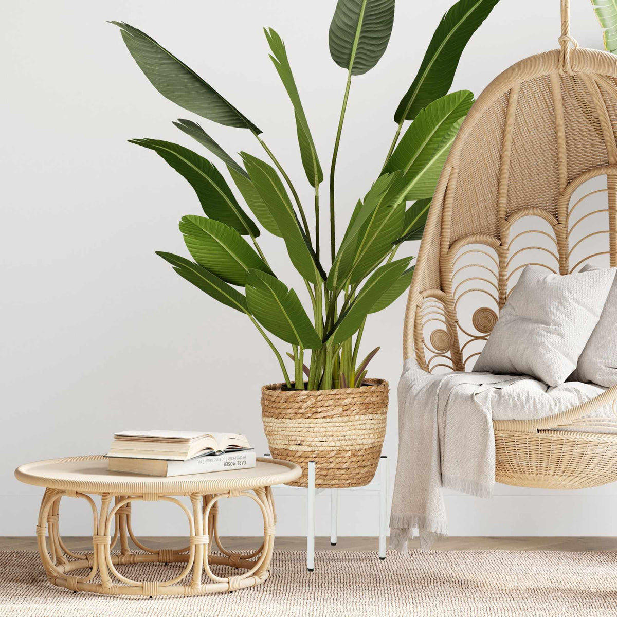 Adjustable plant stand Set of 2