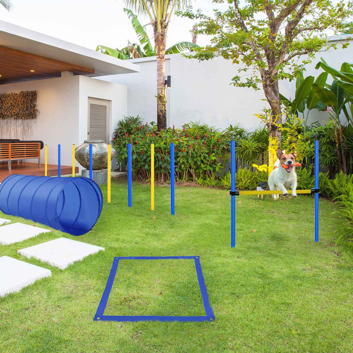 Agility Exercise Set Slalom Hurdle Tunnel Dog Sports Training Area Pe+Polyester Blue+Yellow