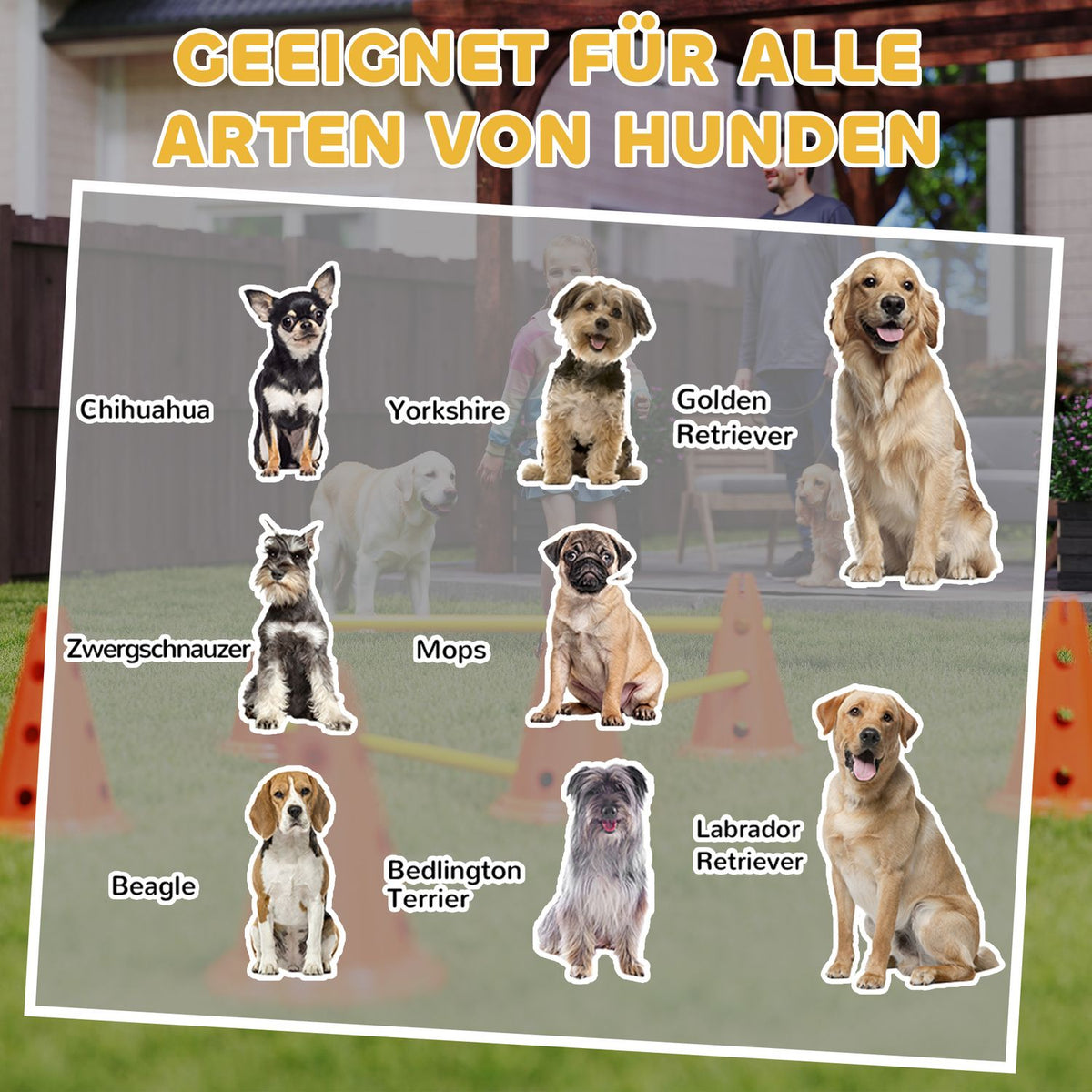 Agility Set Dogs 6-Piece Agility Equipment for Dog Training Hurdle Set with 12 Cones 6 Height-Adjustable Hurdles Carry Bag Training Accessories Coordination Training for Games Training