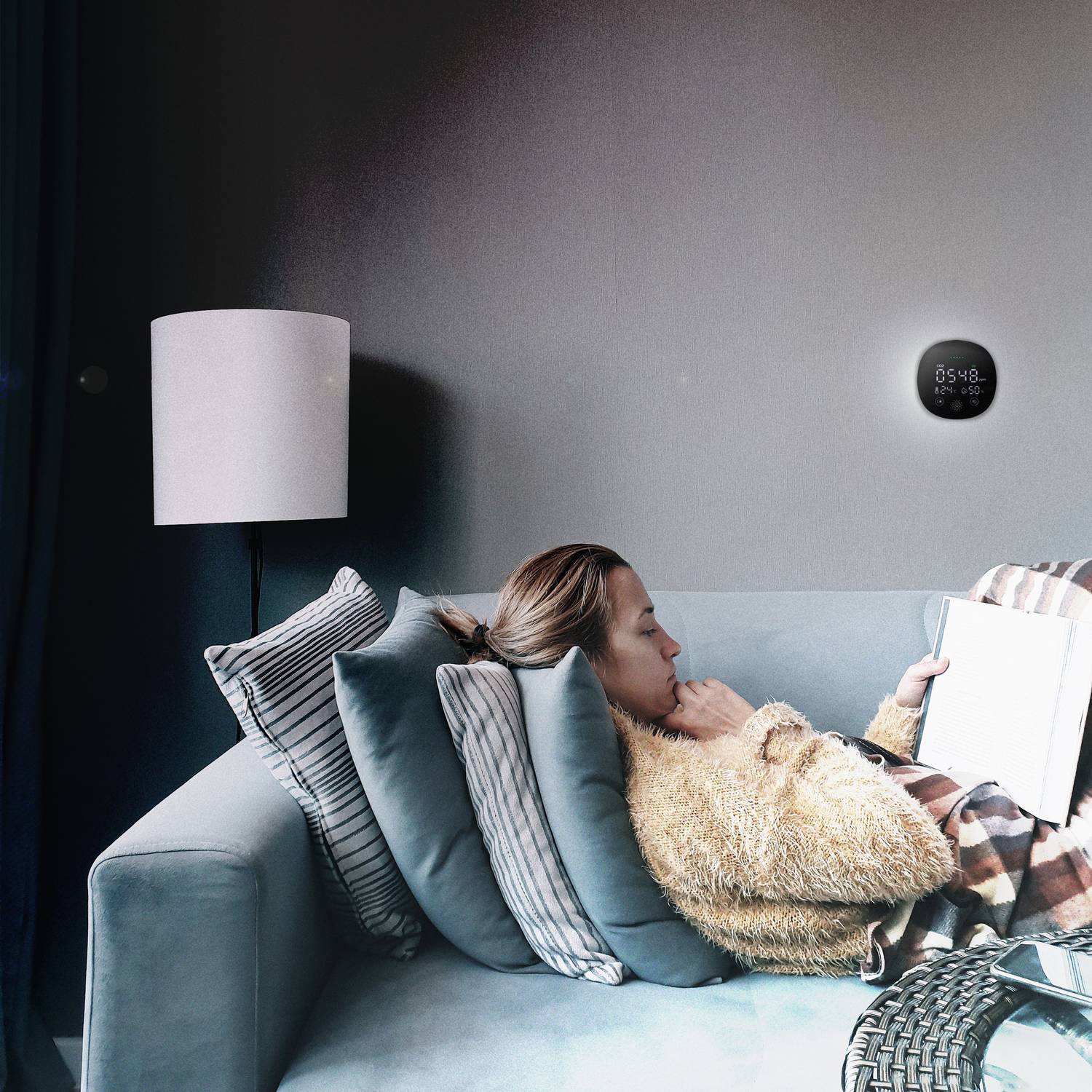 Air quality monitor Carbon dioxide alarm