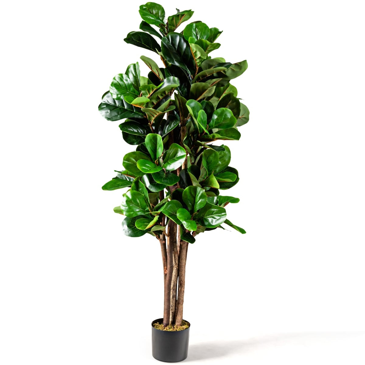 Artificial Fiddle Leaf Fig Tree, 1.5m, Indoor/Outdoor Decor