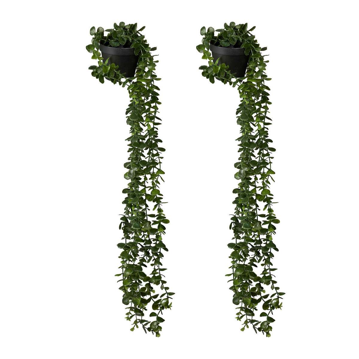 Artificial Hanging Eucalyptus Plants, Set of 2