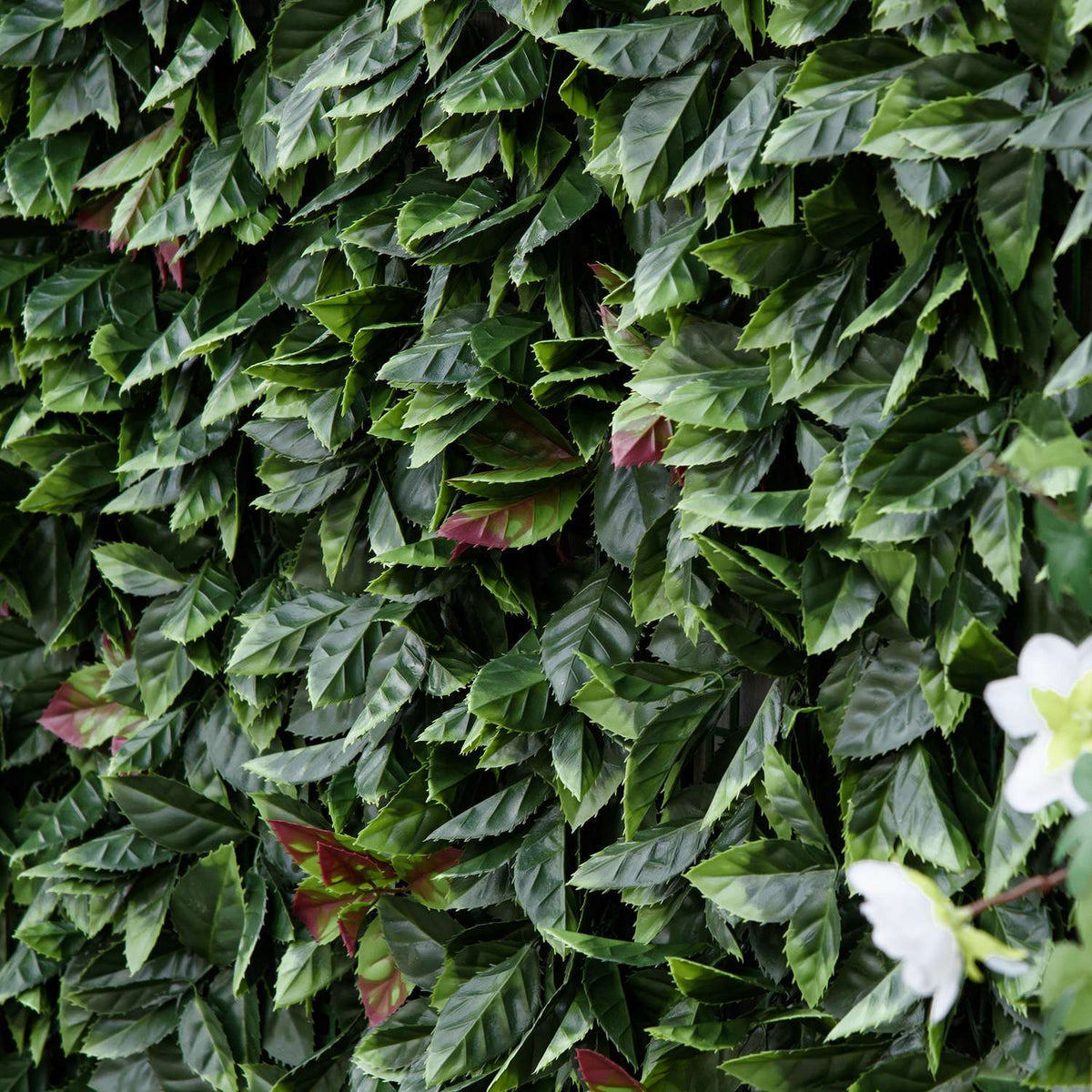 Artificial Plant Wall Pack Of 12 Uv Protection Privacy Screen, Loquat Design, 50 X 50 Cm, For Outdoor Garden