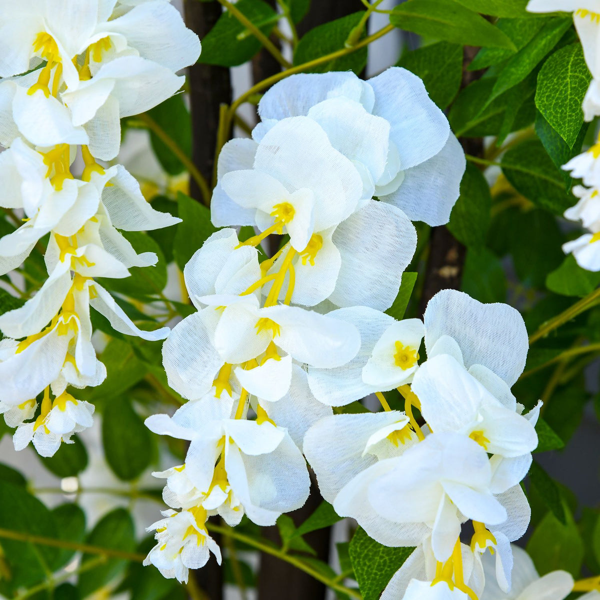 Artificial plant with white wisteria Decorative artificial plants in a pot, 1.65m, plastic cement, white + green