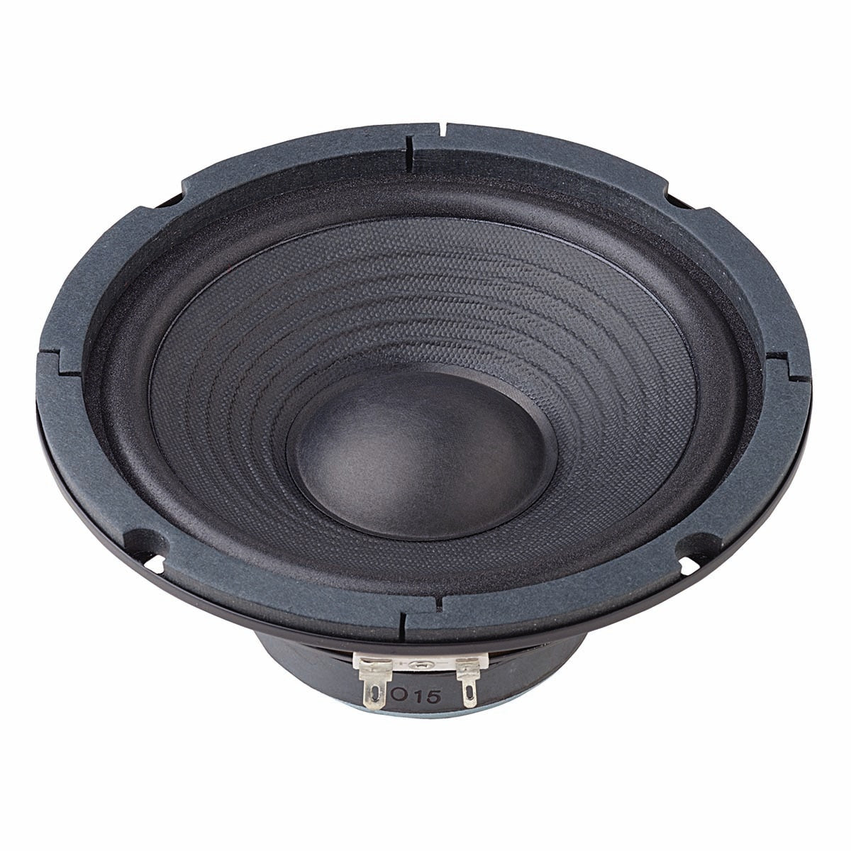 B170 - 8 Ohm 17 cm (6.5") HiFi bass speaker