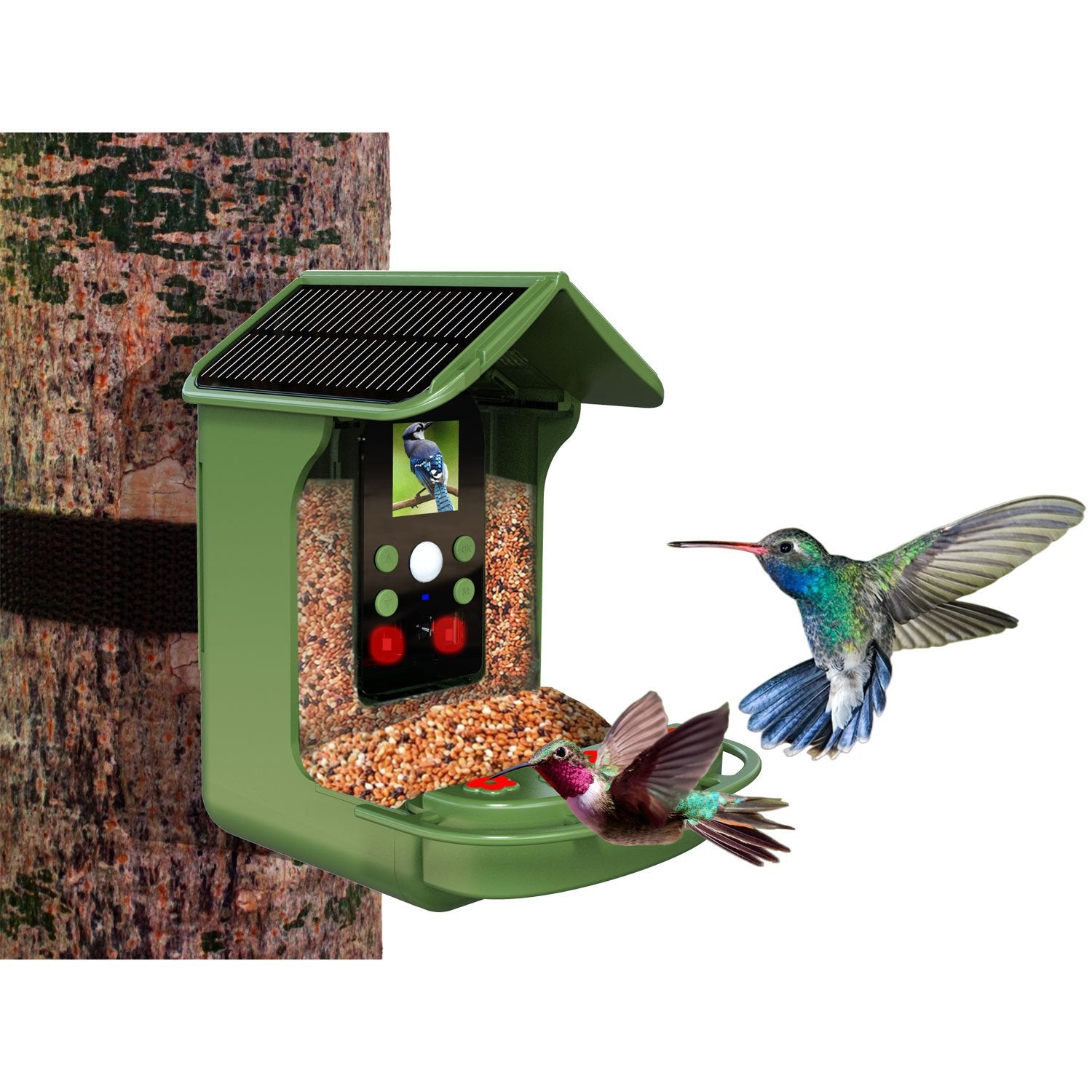 BFC-1200 Smart bird feeder with camera and solar cells