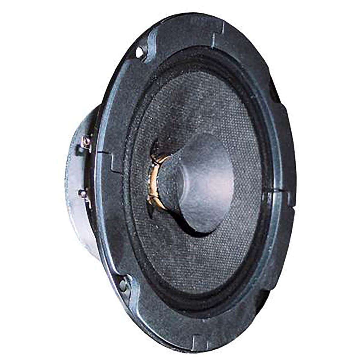 BG 13 P - 8 Ohm - 13 cm (5") full range speaker