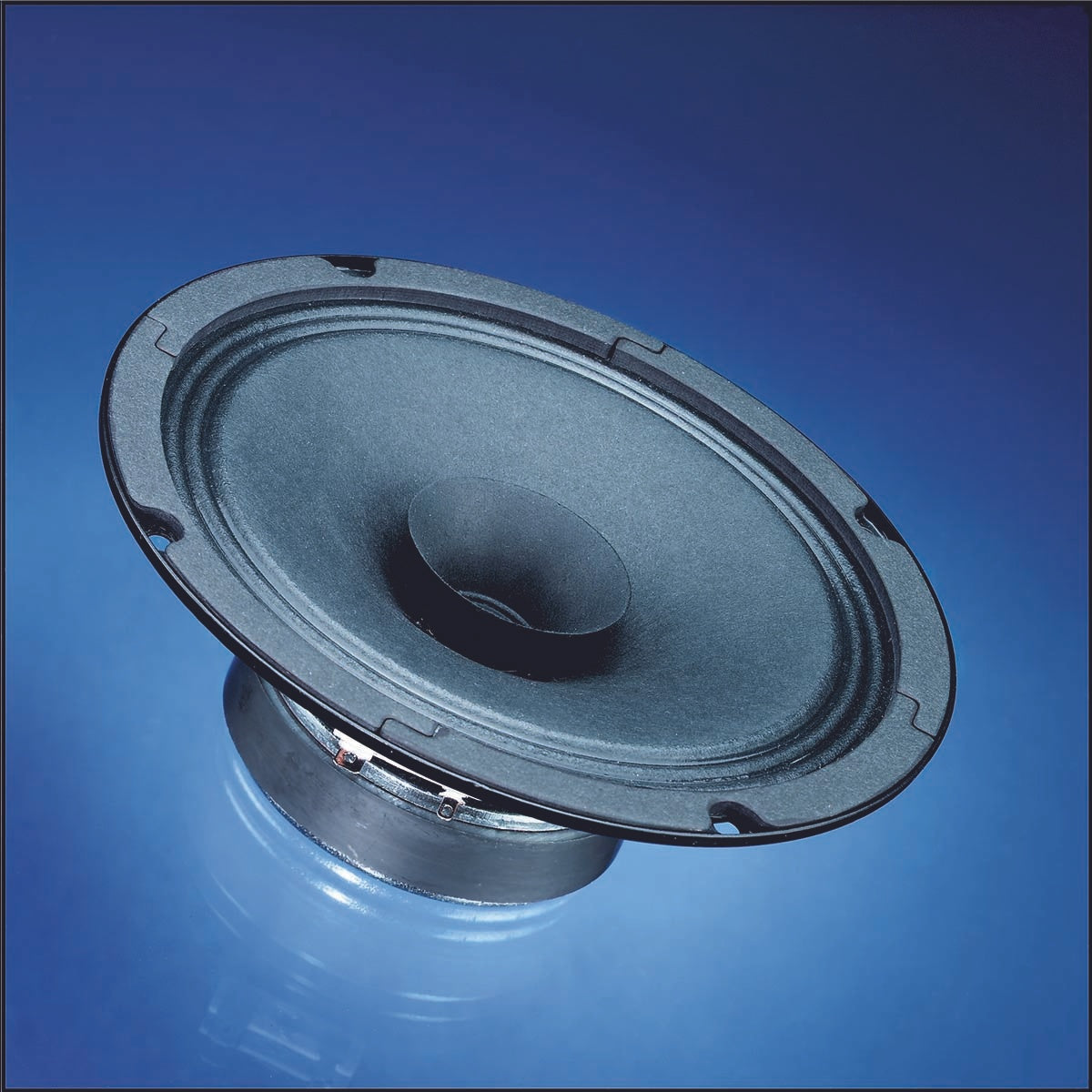 BG 17 - 8 Ohm -16 cm (6.5") full range speaker
