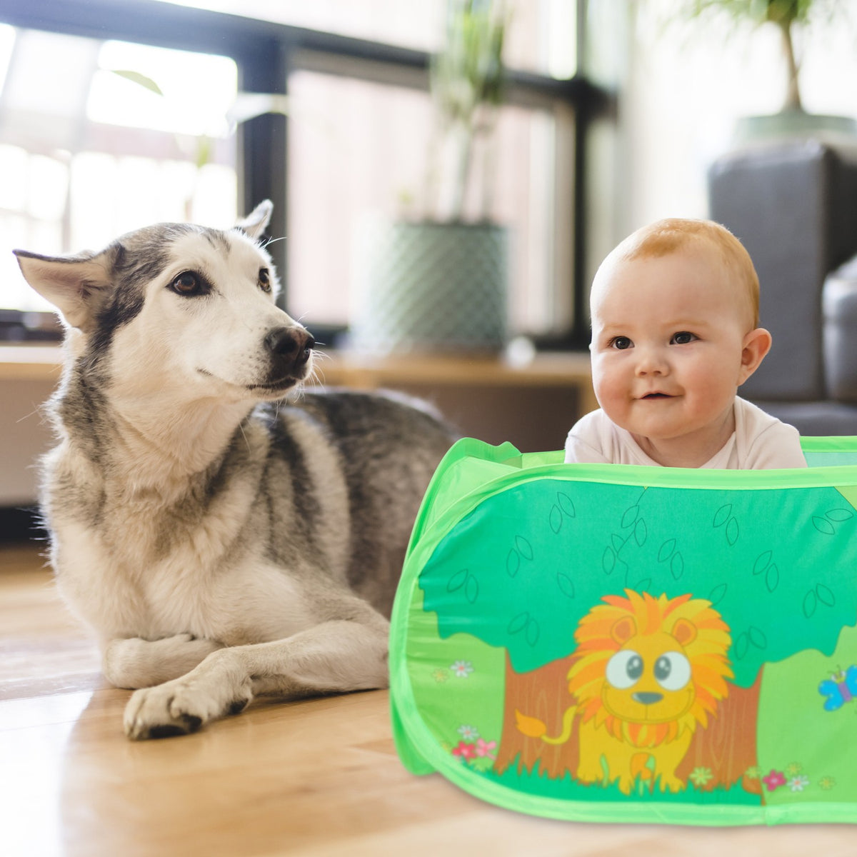 Baby ball bath jungle with 50 balls
