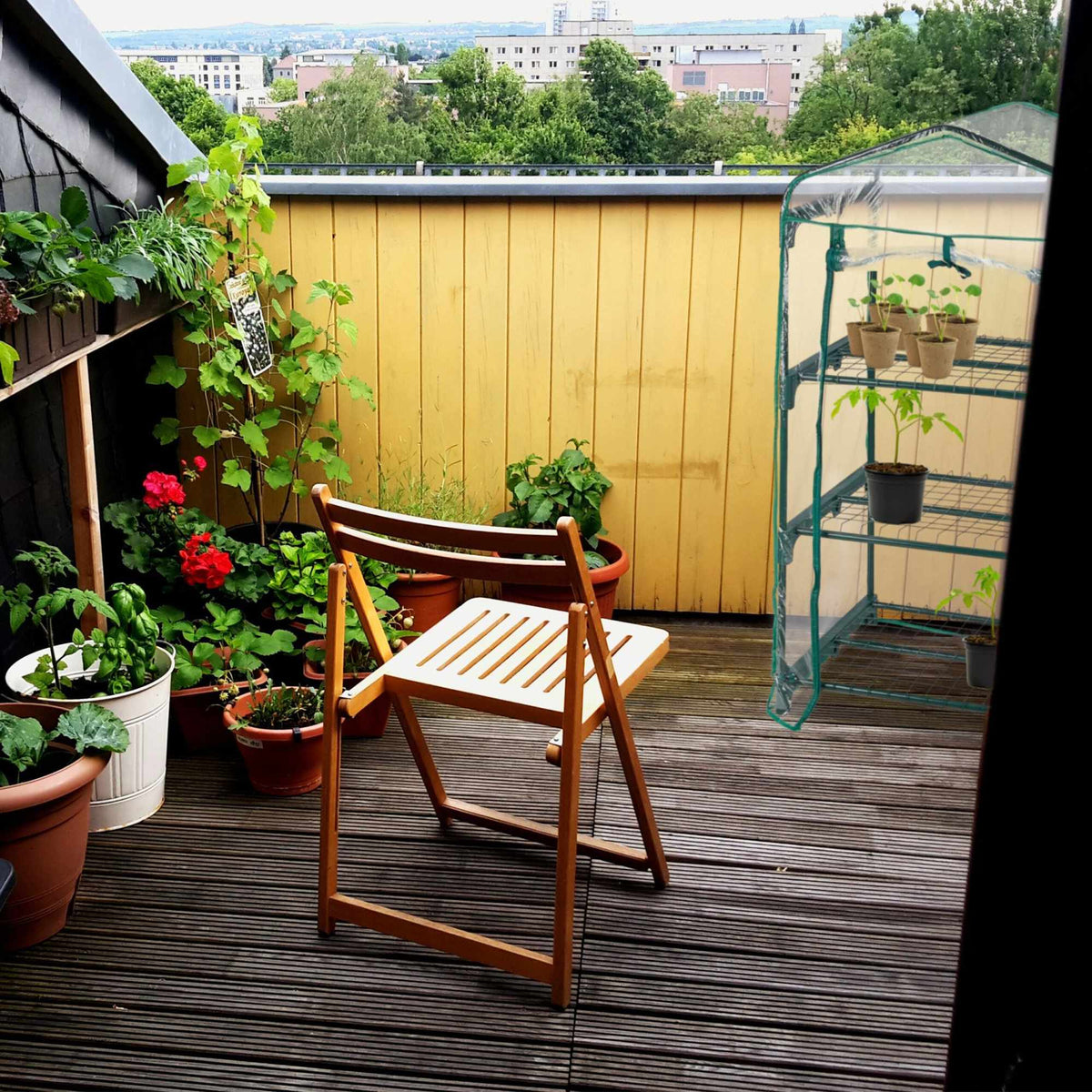 Balcony greenhouse with PVC film