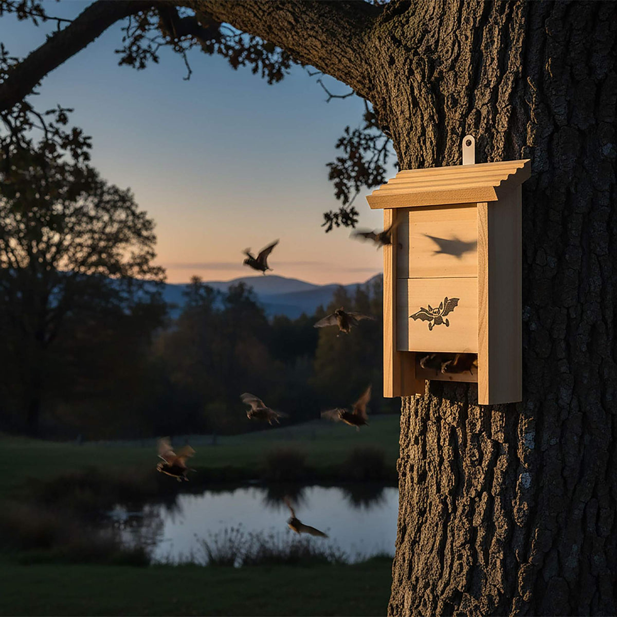 Bat Boxes 2-Pack, Wooden, Grooved Interior