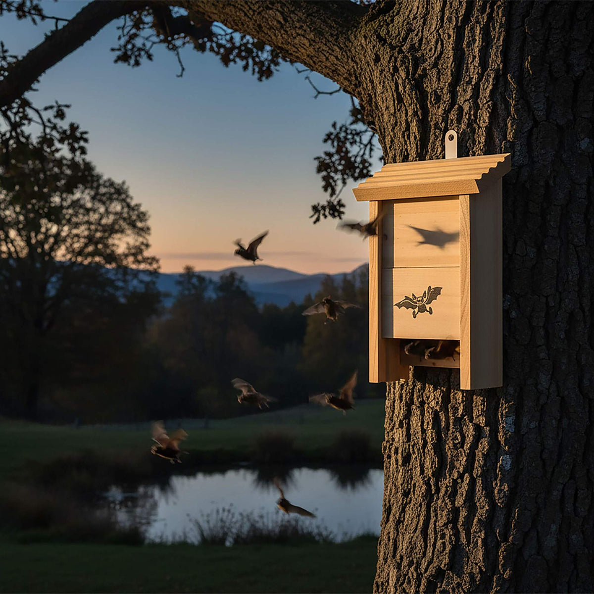 Bat Boxes, Set of 4 – Untreated Wood, Easy Climb