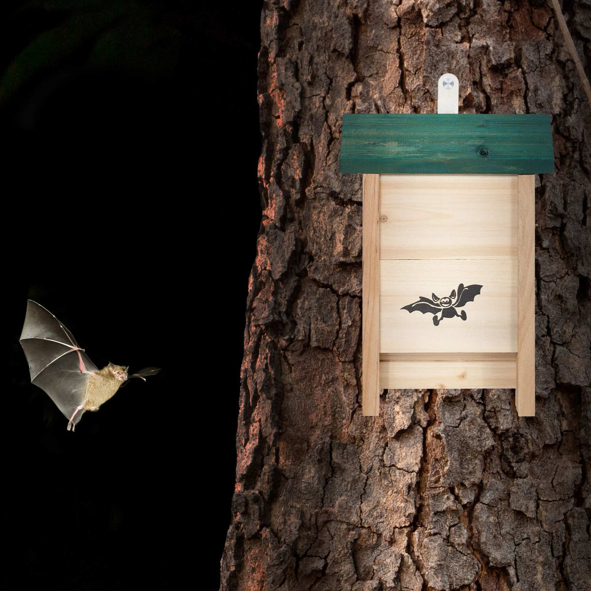Bat house with green roof