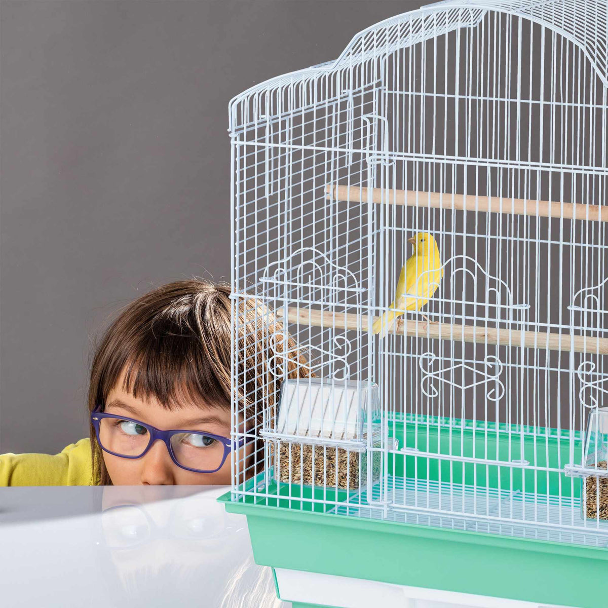 Bird Cage with Accessories
