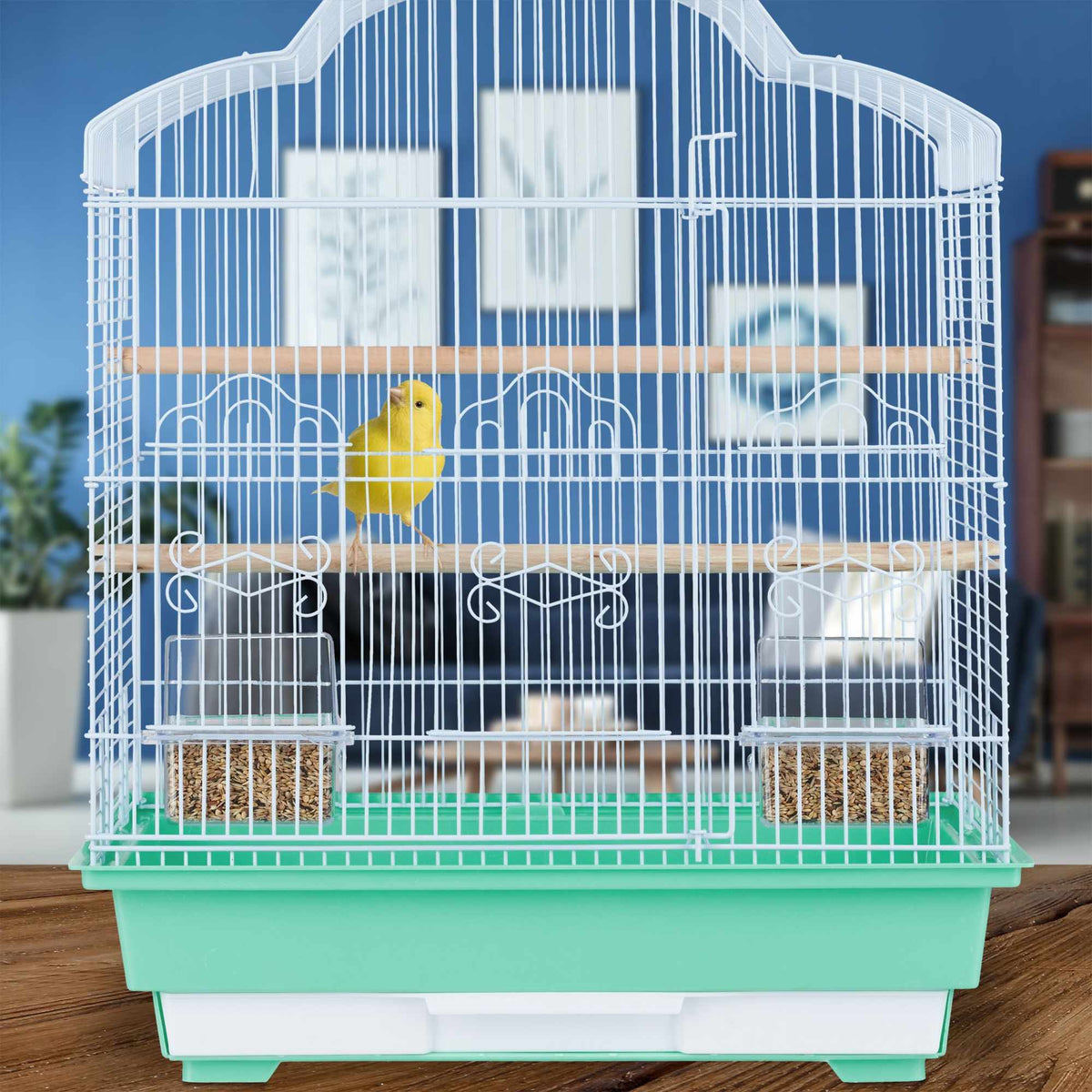Bird Cage with Accessories