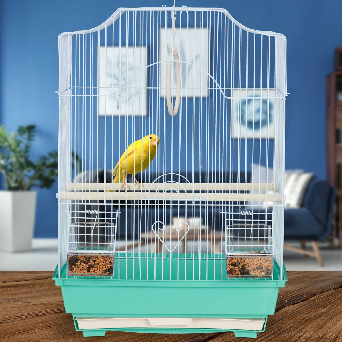 Bird Cage with Perches