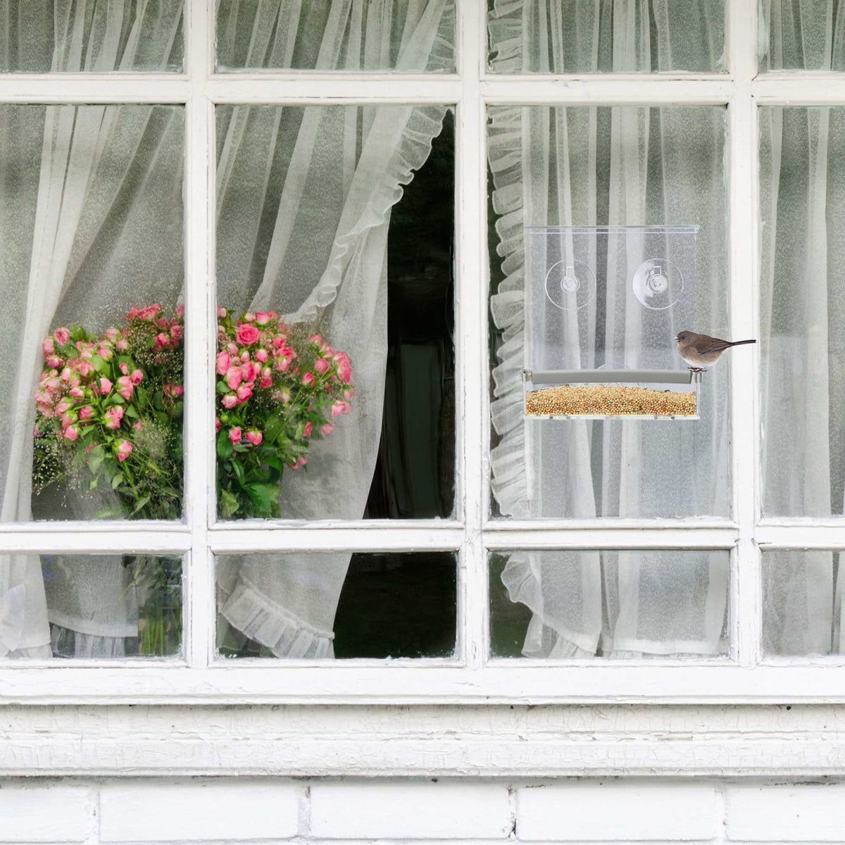 Bird Feeder for Windows