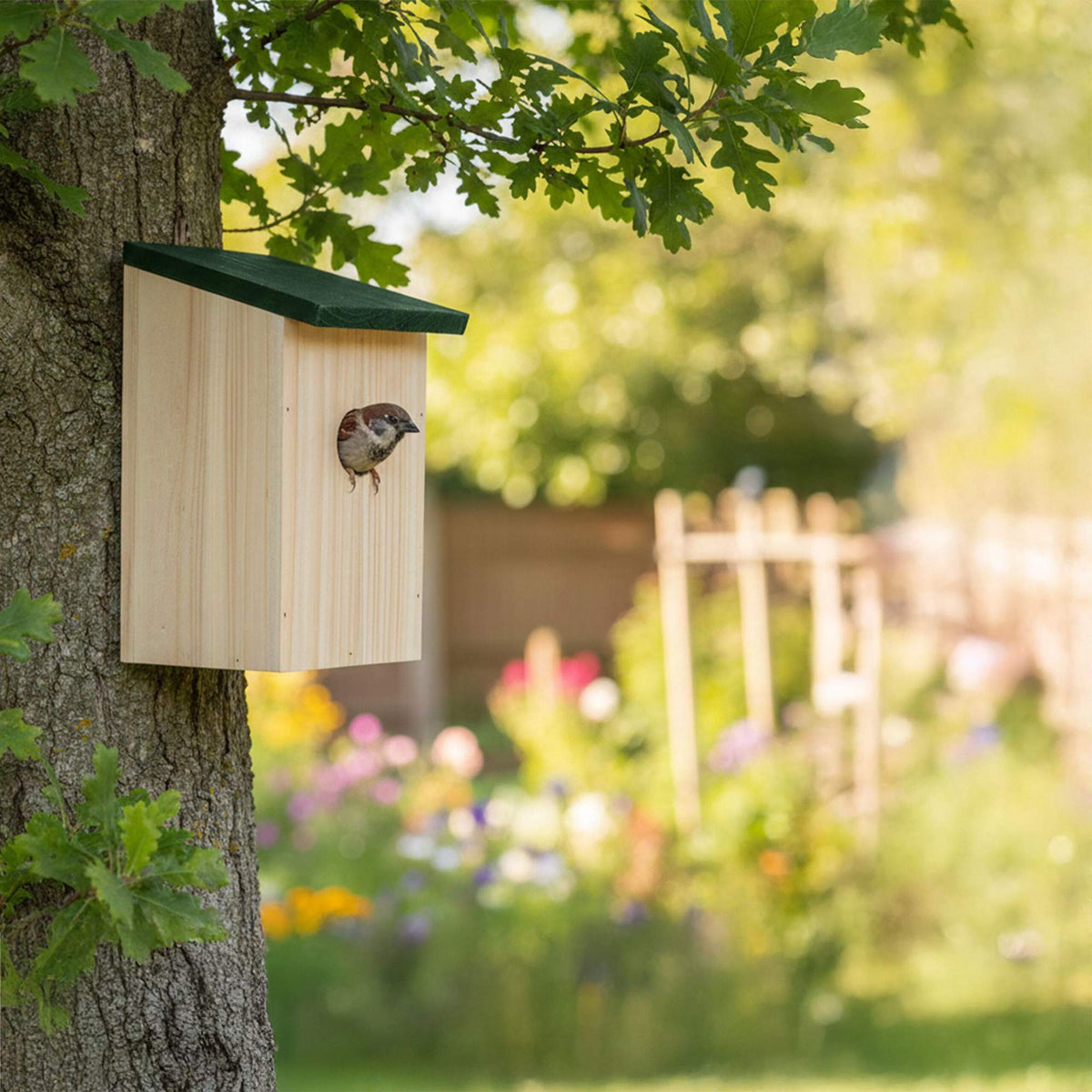 Bird Nesting Boxes Set of 4 – Fir Wood, Easy Clean