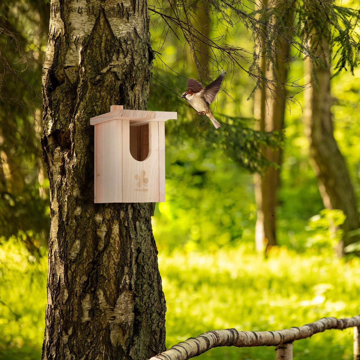 Birdhouse Natural wood Half-cavity Birds