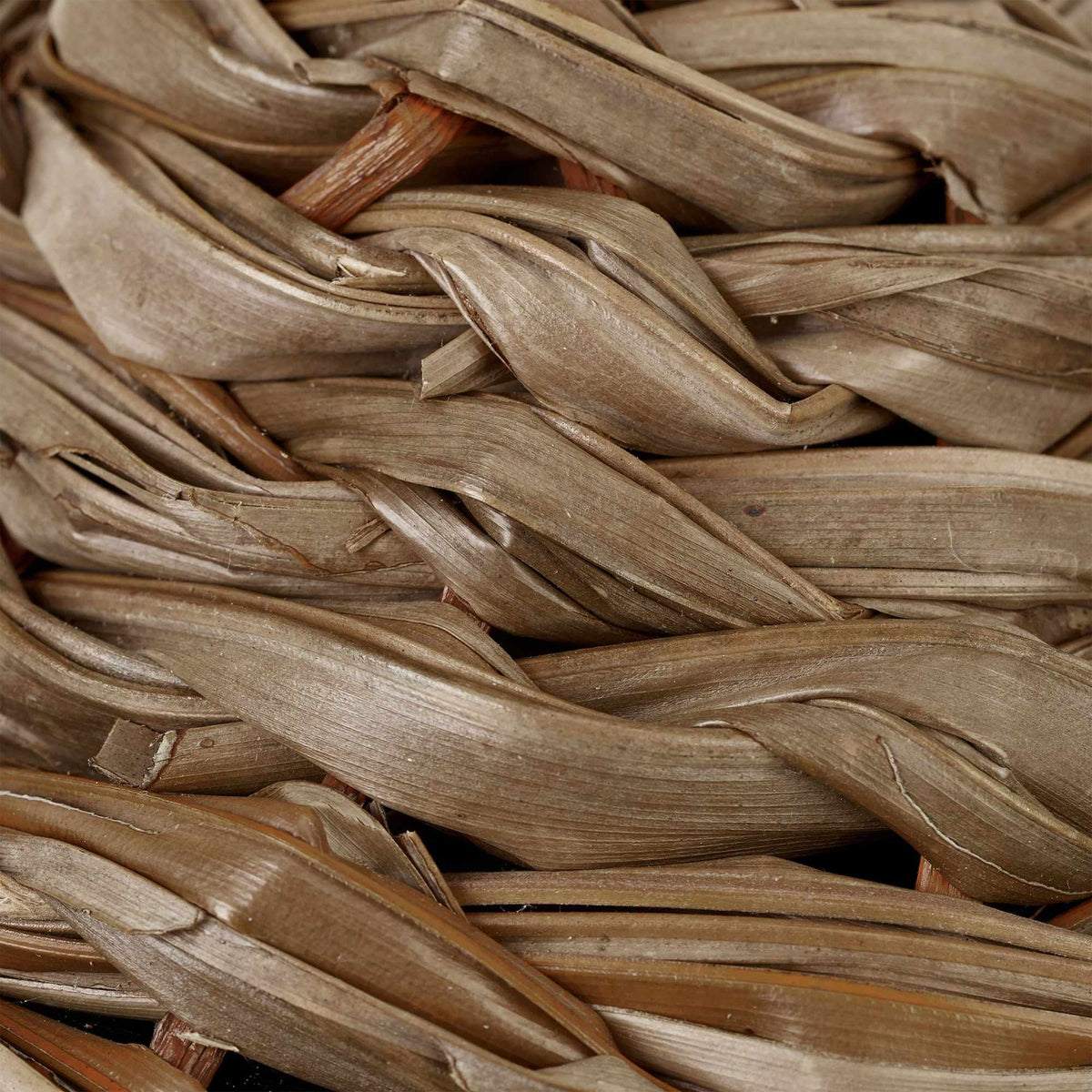 Bird nests in different designs