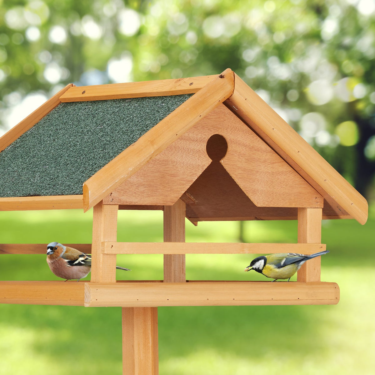 Bird table on pole