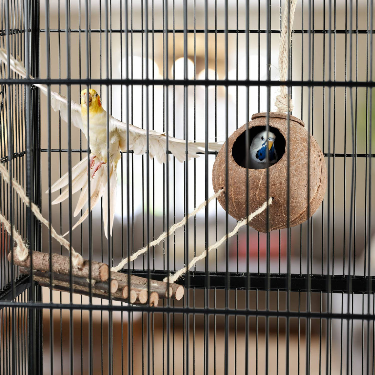 Bird toy with coconut and wooden ladder