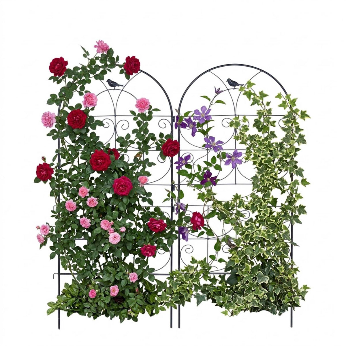 Black Steel Trellis Set for Climbing Plants