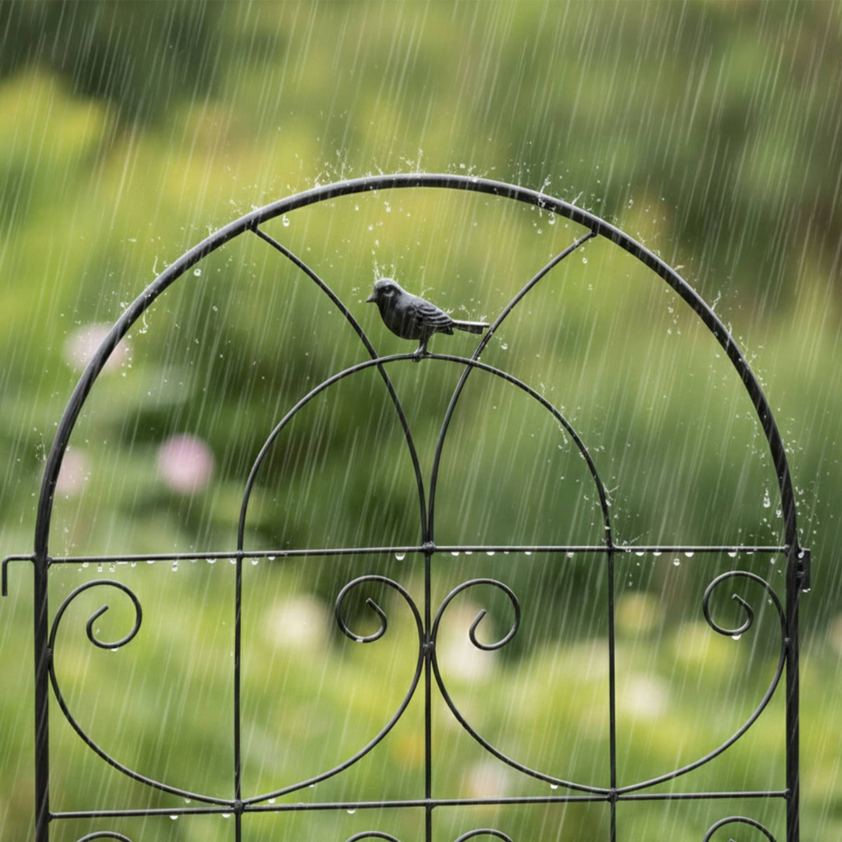 Black Steel Trellis Set for Climbing Plants