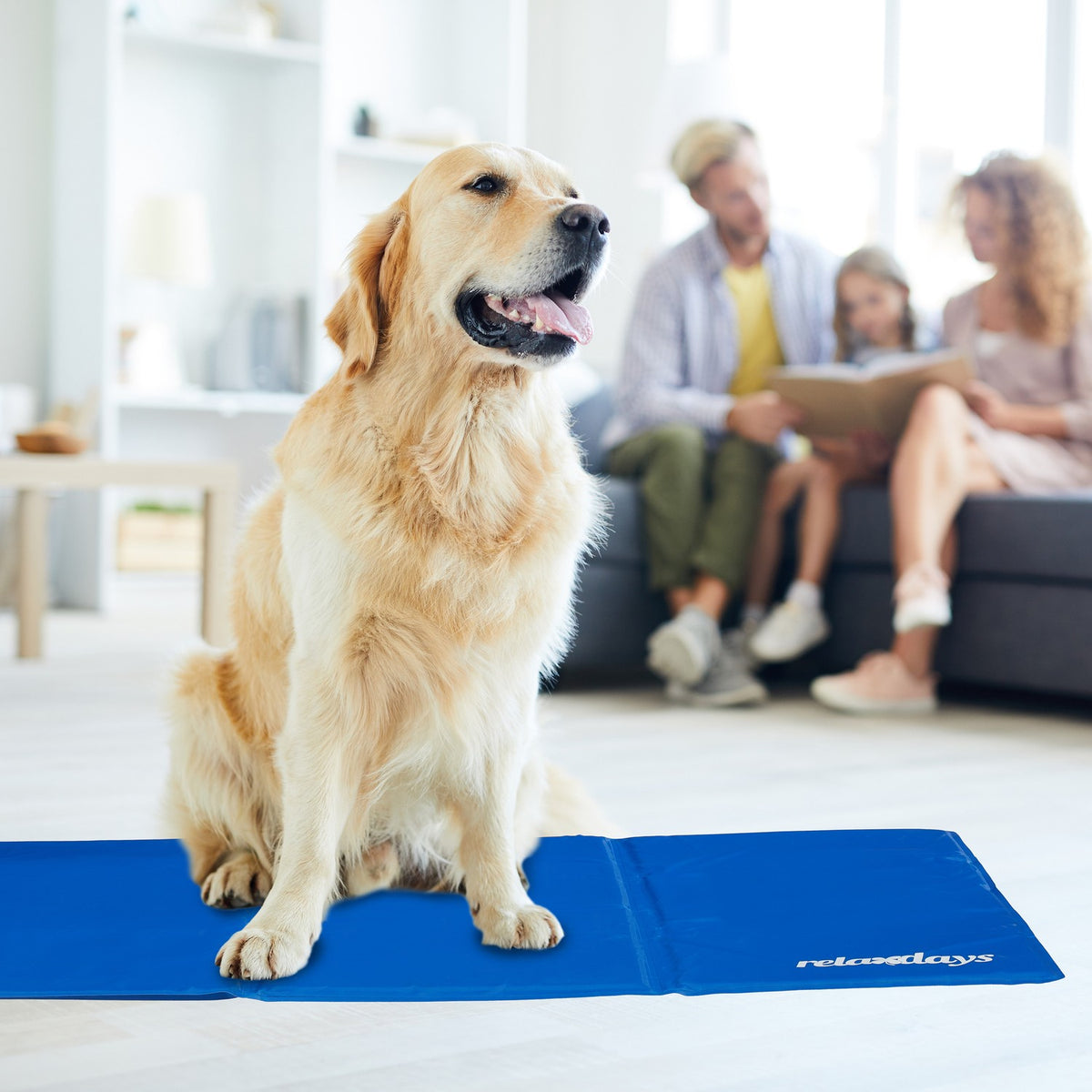 Blue cooling mat for dogs