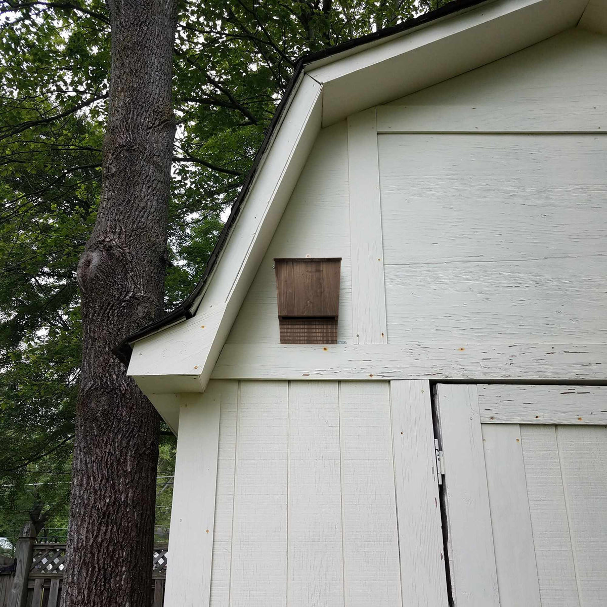 Brown Pine Wood Bat Box