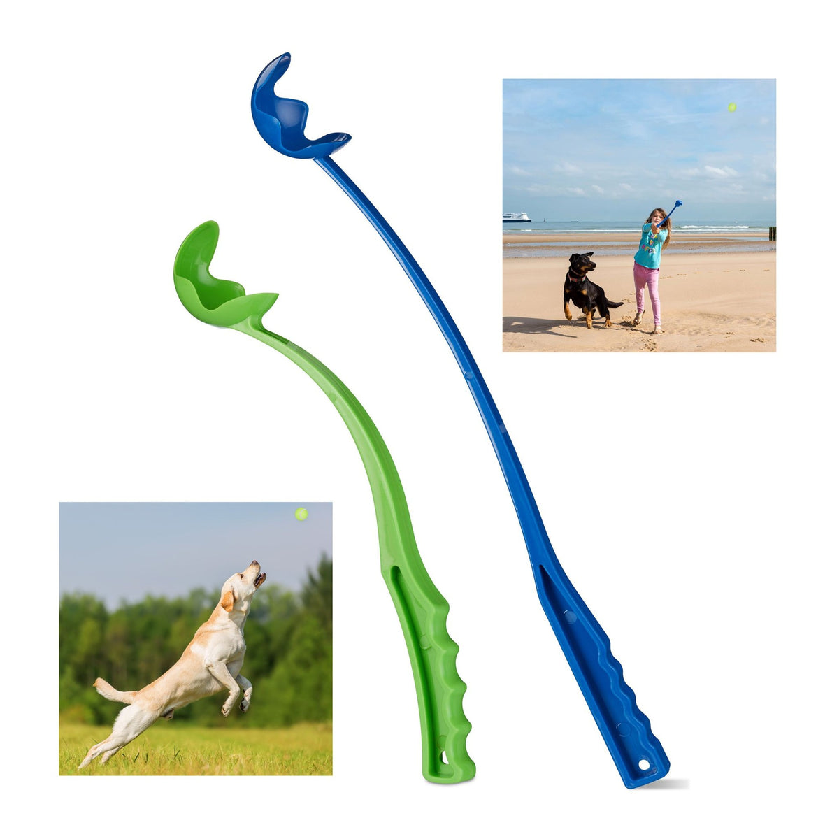 Bullets for dogs set of 2