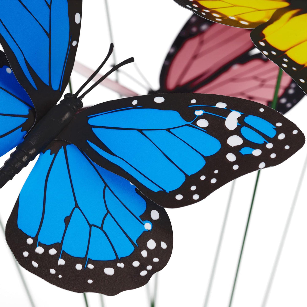 Butterfly decoration