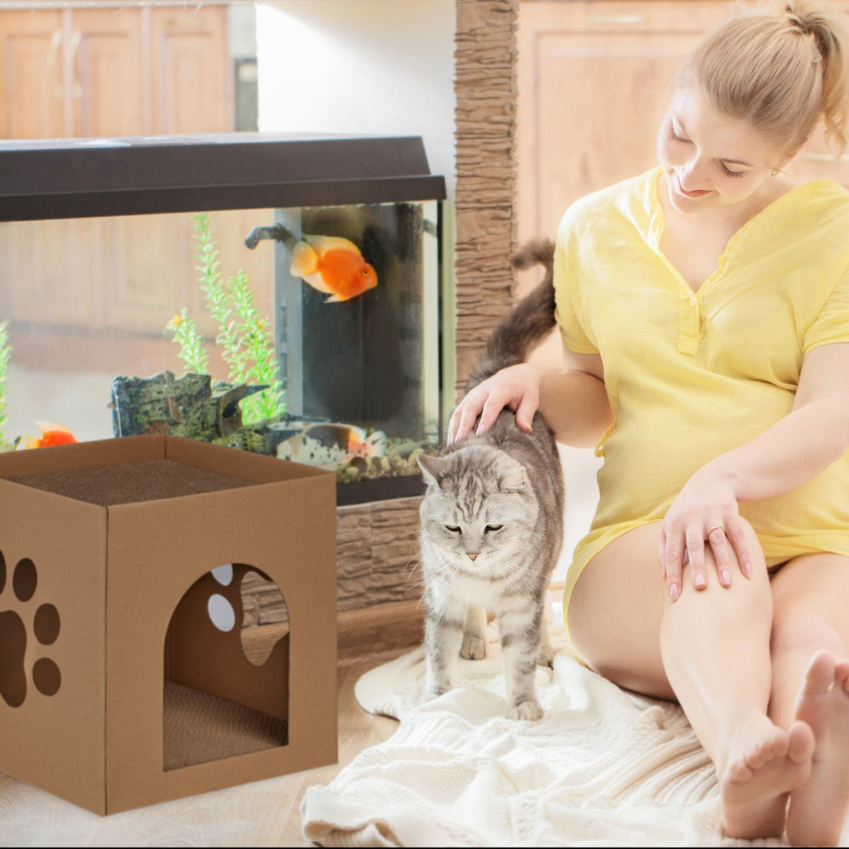 Cardboard cat house with scratching board