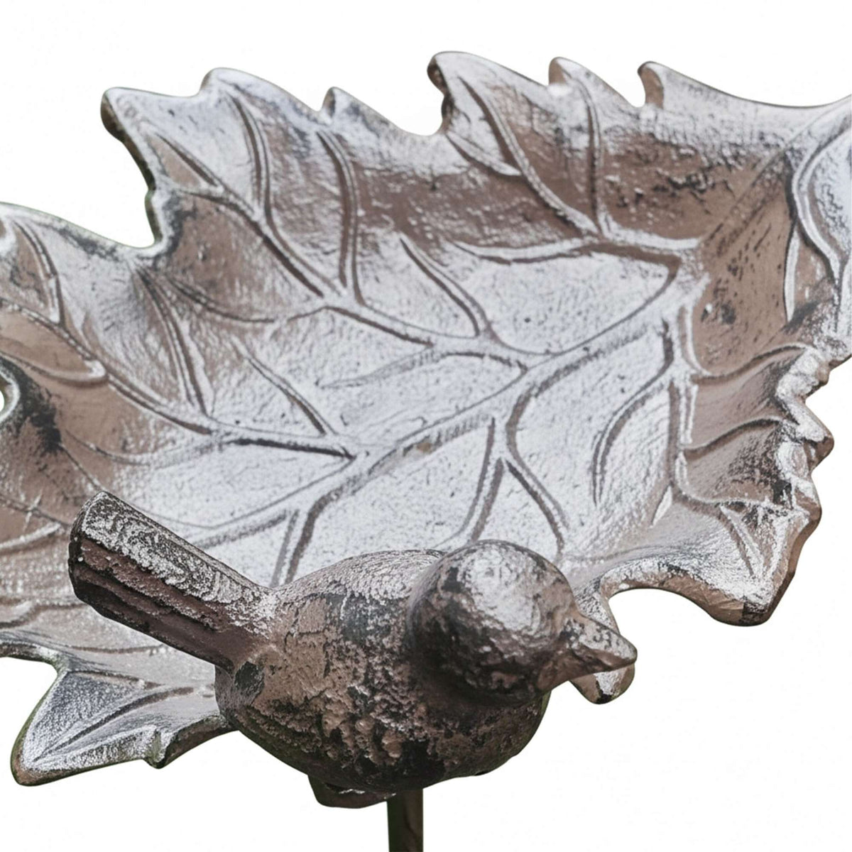 Cast Iron Bird Bath – Standing, Frost-Resistant