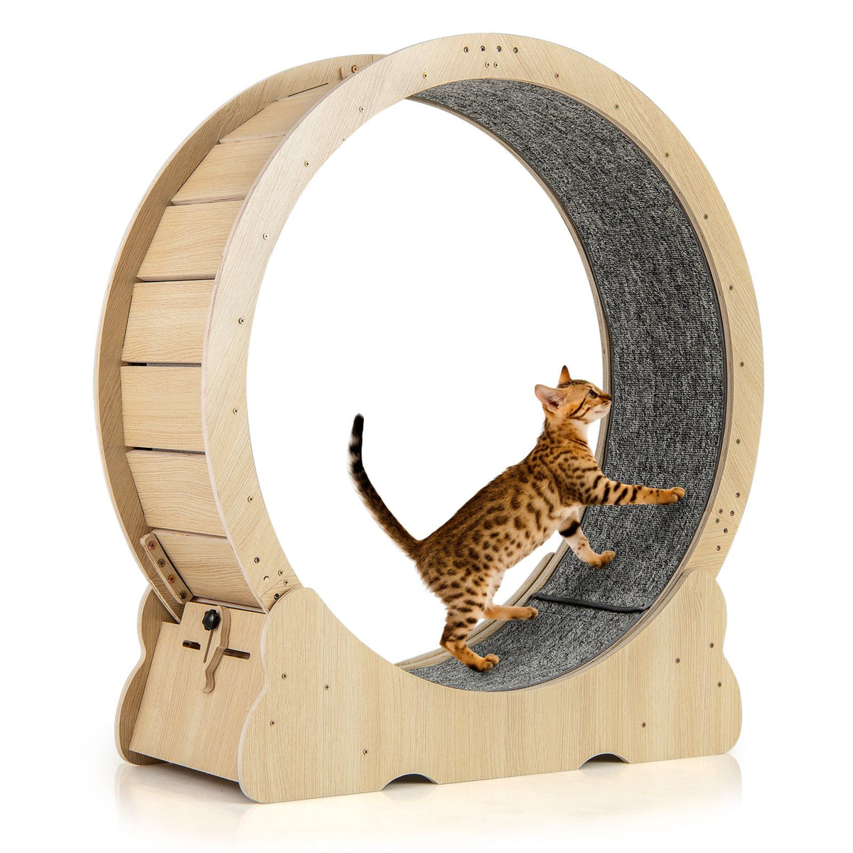 Cat Exercise Wheel with Lock, 101 cm, Quiet Design