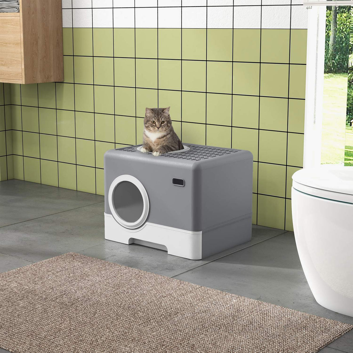 Cat Litter Box With Lid, Cat Litter Box With Scoop, 2 Exits, Toilet For Cats Up To 4 Kg, Plastic, Grey, 52 X 41 X 38.5 Cm