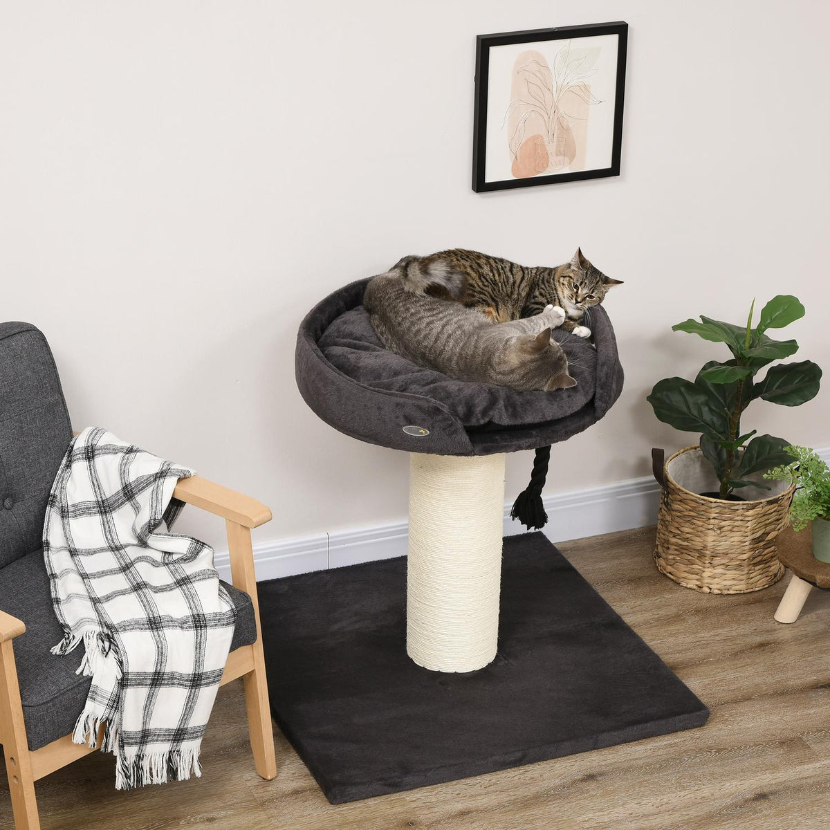 Cat Scratching Post With Bed And Sisal Column, 78Cm, Play Rope, In Gray, Ideal For Play And Rest