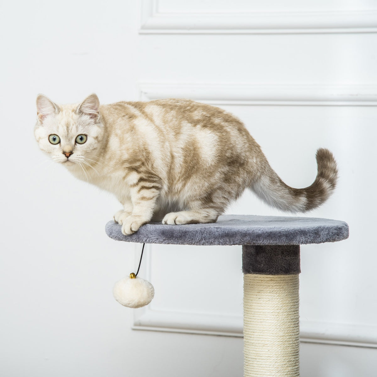 Cat Scratching Post With Cat Cave & Toy Ball, Sisal Rope Scratching Poles, Gray, 55X36X59Cm