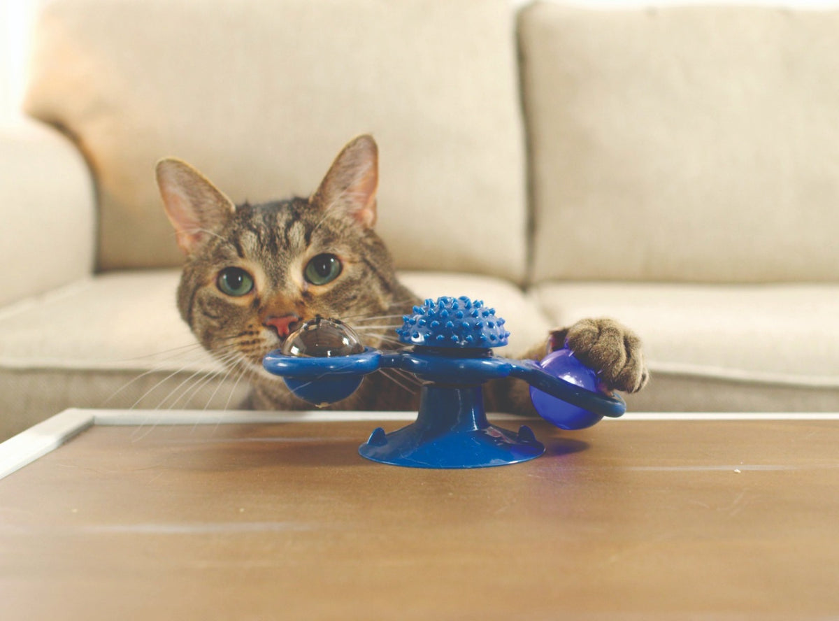 Cat Toy Spinner – Interactive Fun for All Cats