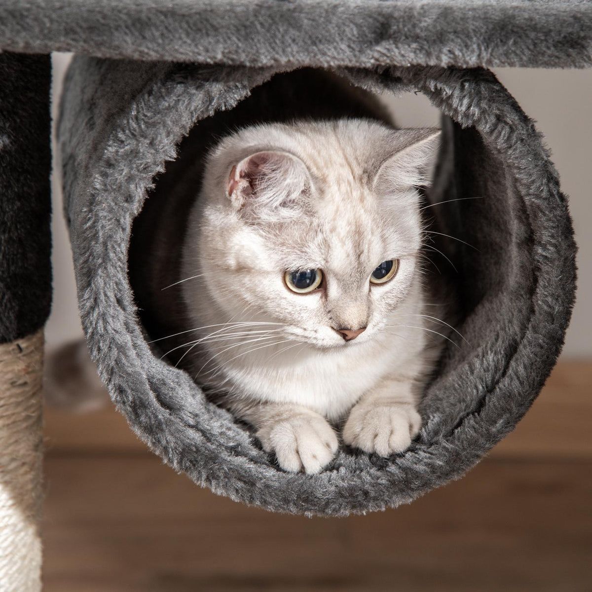 Cat Tree Scratching Post Cat Scratching Post Climbing Tree Cat Sisal Ceiling High (Height Adjustable From 240-260Cm) Dark Gray