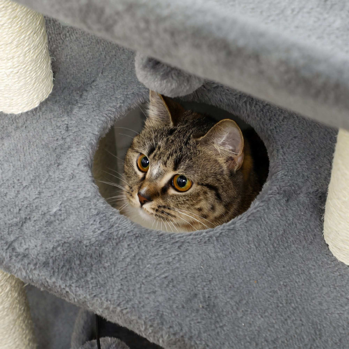Cat Tree with Bed & Toys, Light Grey, 60 x 30 x 76 cm